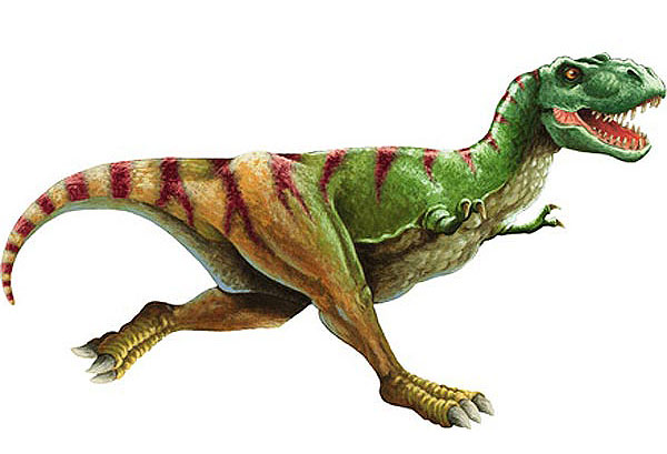 t rex dinosaur. The T-rex, which specifically