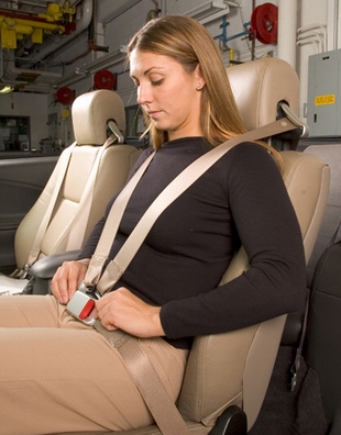 Seat Belt Safety Facts. similar Seat+elt+safety