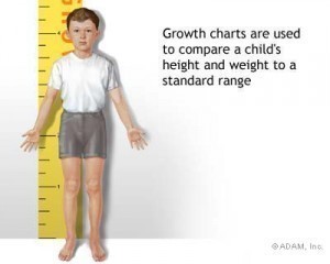 Height Weight Chart