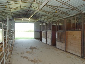 Horse Stable