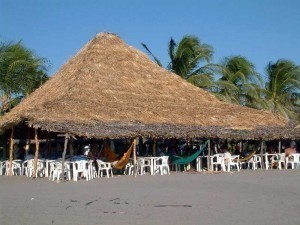 Palapa