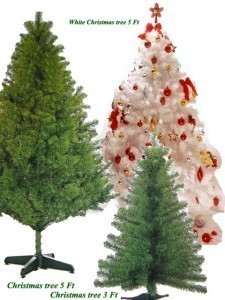 Christmas Tree Size