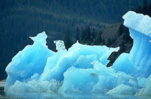 Iceberg in Endicott Arm