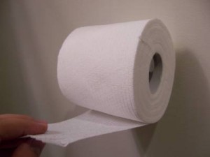 Sheet of Toilet Paper