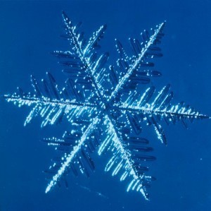 Snowflake: formation (DI00310)