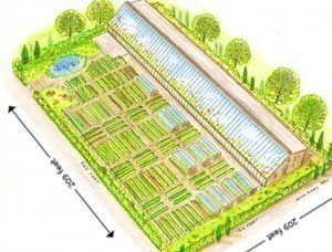 Acre Dimensions