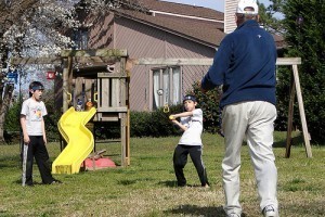 Backyard Baseball Field Dimensions