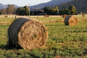 What are the Dimensions of a Bale of Hay
