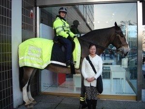 Biggest Horse in the World