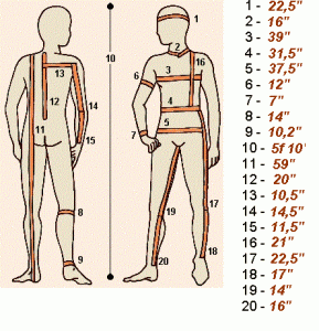 Body Measurements