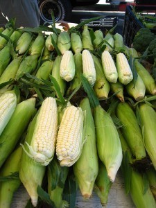 Corn Sizes