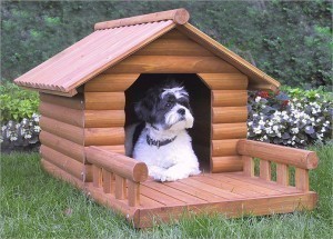 Dimensions of a Dog House