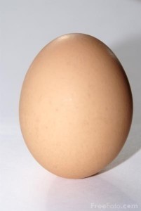 Dimensions of an Egg