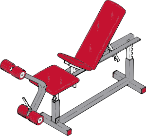 Sizes of Exercise Benches