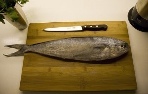 What is the Size of a Fillet Knife?