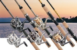 Fishing Rod Dimensions