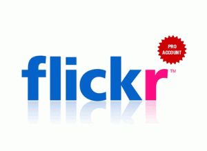 How big is Flickr?