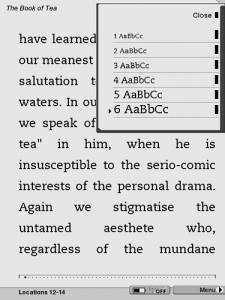 Font Size on Kindle