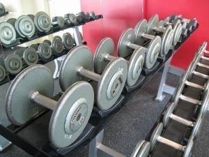 What are Free Weights Measured In?