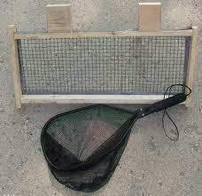 How Big is a Frog Net?
