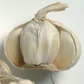 How Large is a Garlic Clove?