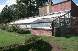 How Big is a Greenhouse?