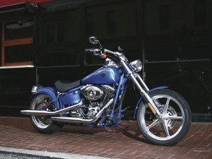 Harley Davidson Softail Sizes