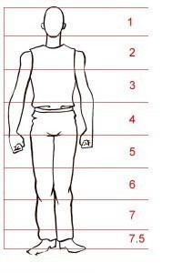 Human Average Height