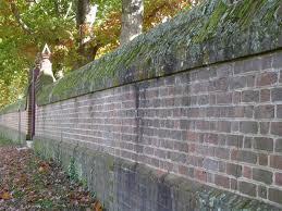 Ideal Barrier Wall Height