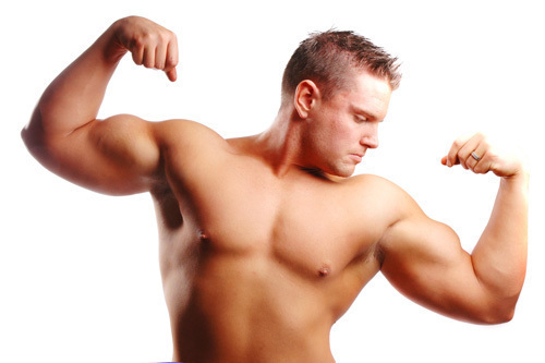 How to Increase Muscle Size