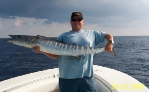 King Mackerel Sizes