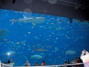 Largest Aquarium