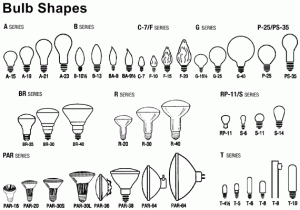 Light Bulb Sizes