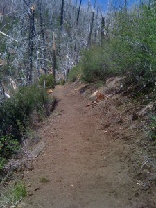 Longest Hiking Trail