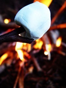 What is the Size of a Marshmallow Roasting Stick?