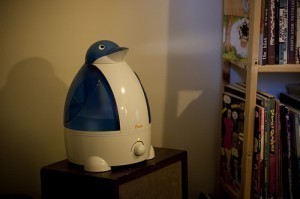 Size of Mist Humidifiers