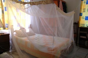 How Large is a Mosquito Net?