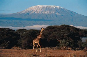 How High is Mount Kilimanjaro?