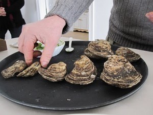 Oyster Sizes