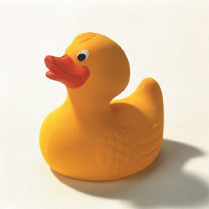 Rubber Duck Sizes