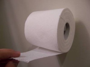 What is the Size of a Sheet of Toilet Paper?