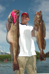 Size of a Lingcod