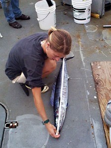 Size of a Wahoo