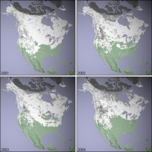 Square Miles of America