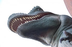 How Big is a T-Rex?