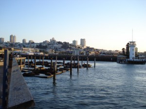 Largest Wharf