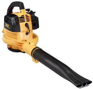 Size of a Leaf Blower