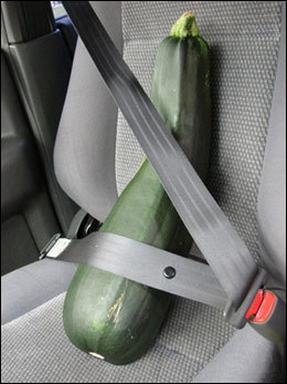 Dimensions of a Seat Belt