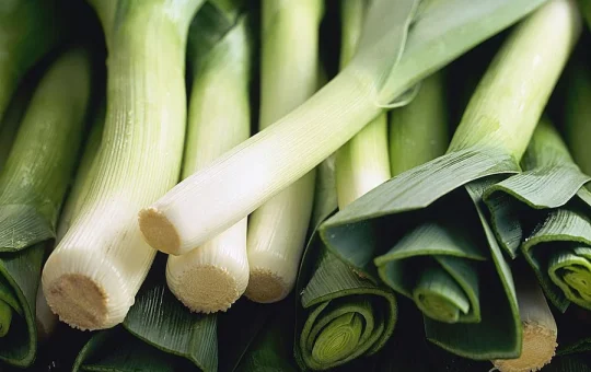Leek Sizes