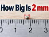 How Big Is 2 mm